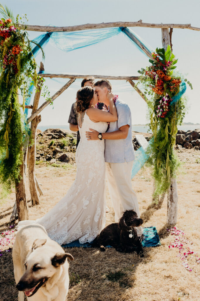 dog in wedding