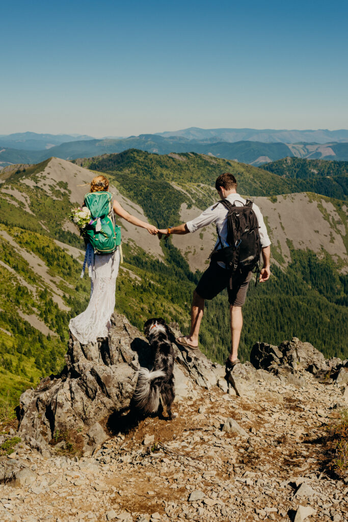 dog in elopement