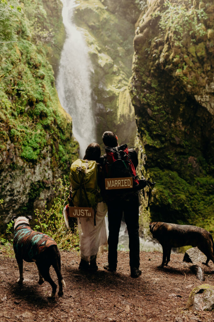 couple eloping by a waterfall with their dogs