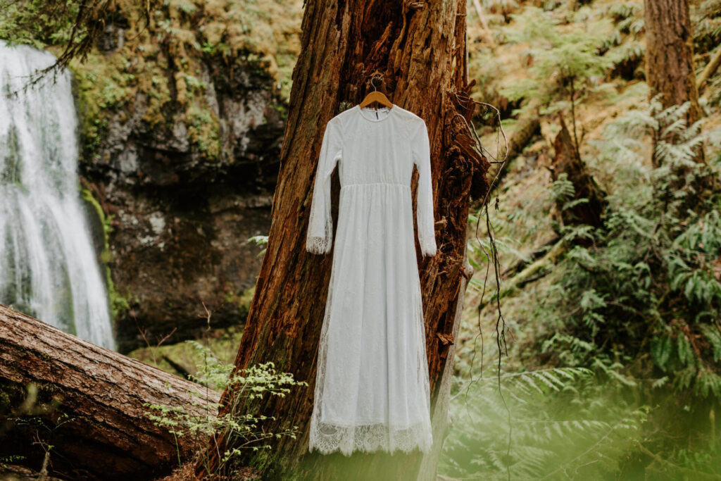 wedding dress hanging on a tree by a waterfall